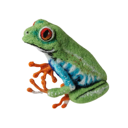 Тропическая лягушка